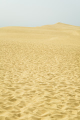 Sand desert at Dune du Pilat with lots of footprints