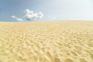 Fototapeta na wymiar Sand desert at Dune du Pilat