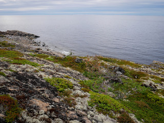 Landscape of the White sea with rocks