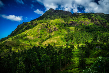 Obraz premium landscape with mountains and trees