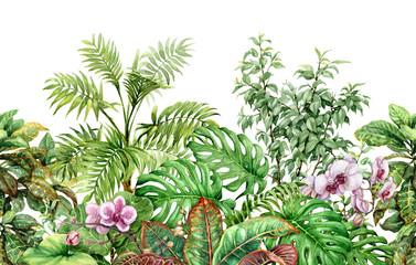 Fototapety  Wzór linii roślin tropikalnych