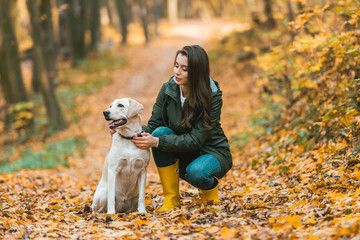 young woman adjusting dog collar on golden retriever while sitting on leafy path in autumnal forest