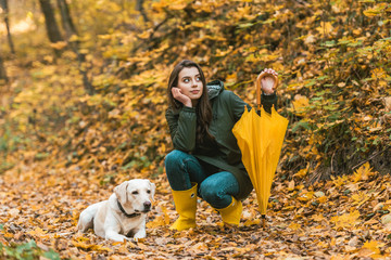 Naklejka na ściany i meble attractive girl with yellow umbrella siting near golden retriever in autumnal forest