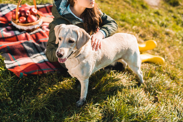 cropped image of woman sitting on blanket and adjusting dog collar on golden retriever in park