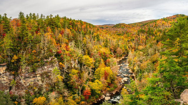 Linville Gorge Wilderness from Erwin's View