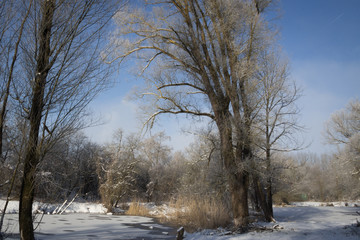 Winterlandschaft am Teich