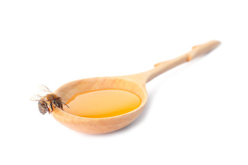 Wooden spoon with honey and bee on white background
