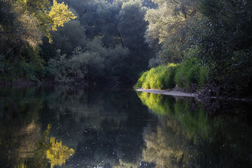 Sommerliche Abendstimmung am Fluss