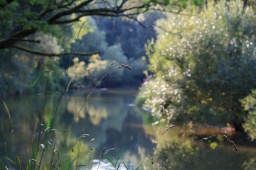 Sommerstimmung am Fluss