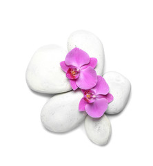 Fototapeta na wymiar Spa stones with orchid flowers on white background, top view