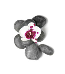 Spa stones with orchid flower on white background, top view
