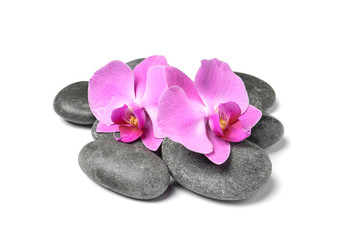 Spa stones with orchid flowers on white background
