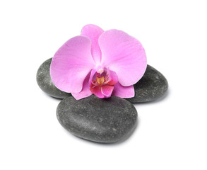 Naklejka na ściany i meble Spa stones with orchid flower on white background
