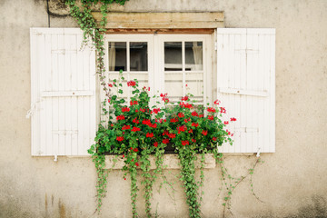 Red flowers at the windowsill of traditional old french building with wooden shutters and lattice window