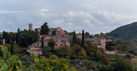 Fototapeta na wymiar Borgo di Montefioralle visto dal basso dai vigneti sottostanti