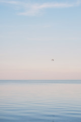 Flock of white seagulls chilling and floating on the surface and wave of blue sea water.