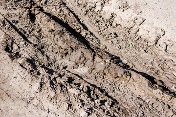 Dried mud with traces of transport on a country road