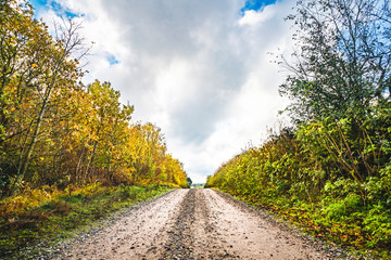 Dirt road in the fall with tree in autumn colors