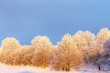 Winter landscape with frost on the trees