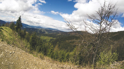Autumn and spring in the mountains. Ukrainian Carpathian Mountains. Nature. Trees and mountains. Traveling.