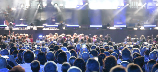 assists crowd standing at a concert