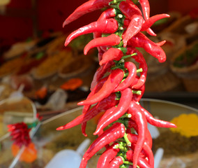 spicy chillies hanging from a stall