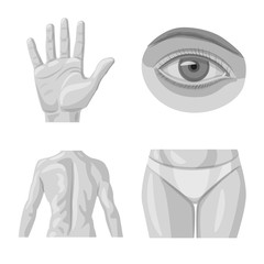 Vector design of human and part symbol. Collection of human and woman stock vector illustration.