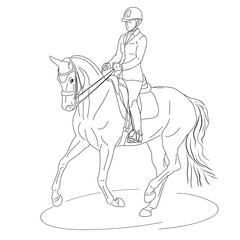 Fototapeta na wymiar A sketch of a dressage rider on a horse executing the pirouette.