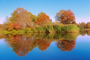 Landscape with autumn color trees reflection in river.