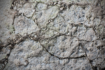 cement wall