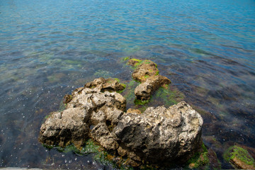 Stones in the sea