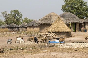 african village