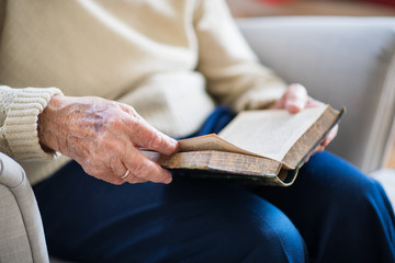 A senior woman reading Bible at home at Christmas time.