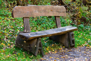 Naklejka premium bench in nature