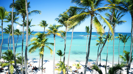 Luftbild vom Palmensandstrand in Punta Cana, Bavaro Beach, Dominikanische Republik