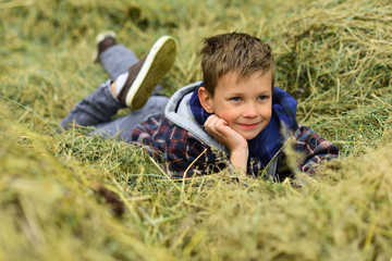Naklejka na ściany i meble Relax, take it easy. Small kid relax in hay. Small kid daydreaming in farm barn. Relax the whole day