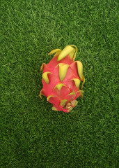 Dragon fruit