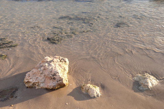 Sea shore with sand and stones and rocks in the water at sunset, close-up with space for text