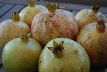 Circle of Pomegranates