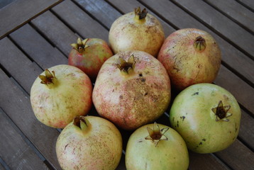 Circle of Pomegranates