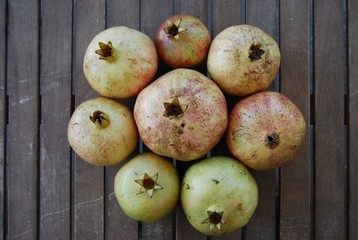 Circle of Pomegranates