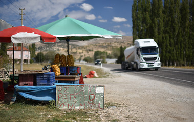 Fototapeta na wymiar roadside vegetable shop with umbrellas, the inscription on the board in translation from Turkish: an ounce of yellow potatoes of the new crop