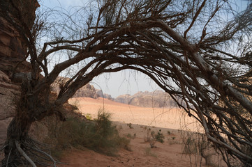  Jordanian desert in Wadi Rum, Jordan. Wadi Rum has led to its designation as a UNESCO World...