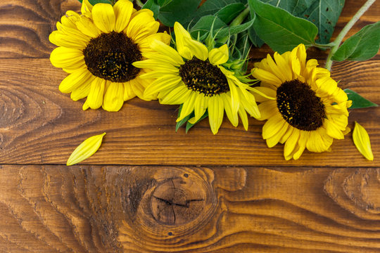 Decorative sunflowers on the wooden background