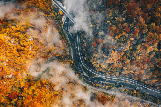 Fog on the road aerial view