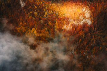 Foggy morning in Jiului Canyon Transylvania Romania