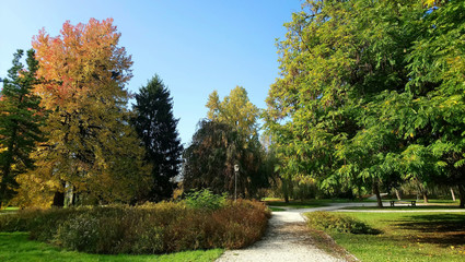 autumn park