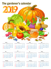 Template calendar year 2019 for gardener. Vector illustration with vegetable.