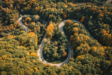 Winding road trough a forest in ther middle of autumn