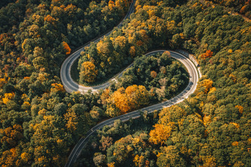 Extreme curved road in the middle of a forest, autumn photography